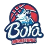 KK Borac Zemun