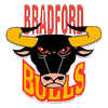 Bullz