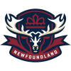 Newfoundland Regiment