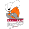 Istern Meveriks (Zh)