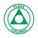 Plasa Koloniya