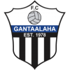 Gantaalaha Afgooye