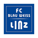 BV Lints