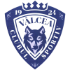 Clubul Sportiv Vâlcea 1924 2