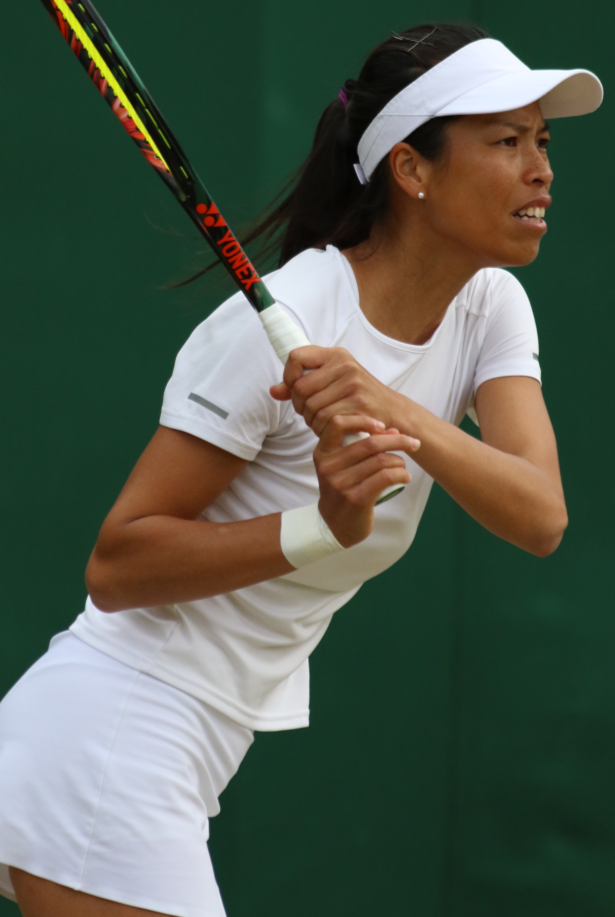 Hua-Yu Wei
