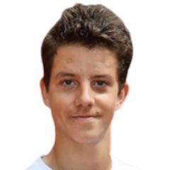 Dodig M