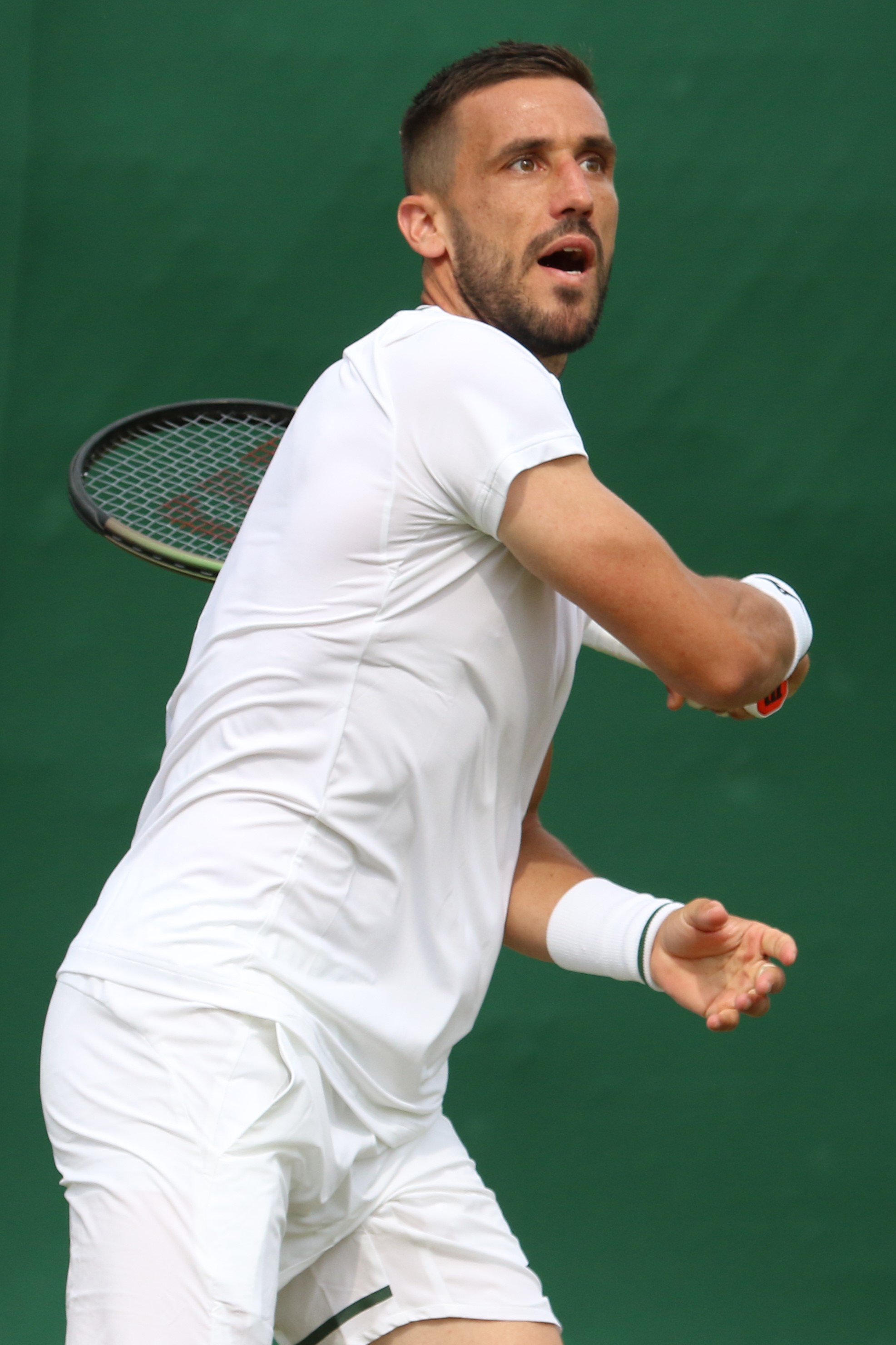 Damir Džumhur